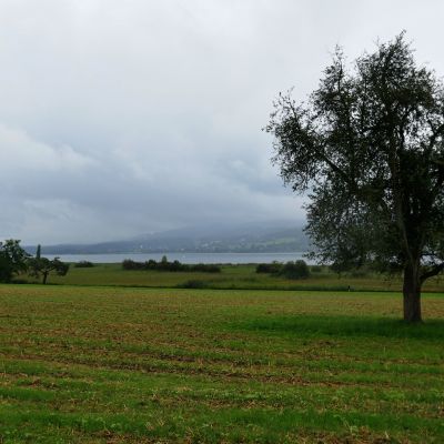 071 Letzter Blick auf den Greifensee